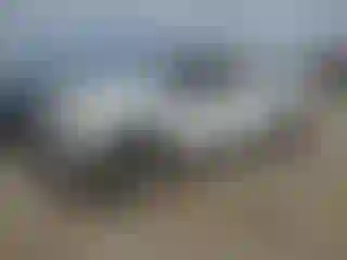 Vehicle Image- 2016 Ford F-250