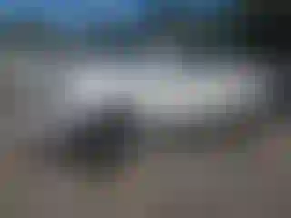 Vehicle Image- 2017 Ford F-250