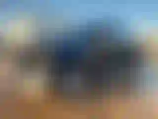 Vehicle Image- 2020 Ford F-250