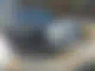 Vehicle Image- 2015 Ford F-250