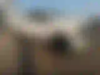 Vehicle Image- 2020 Ford F-250