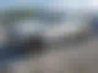 Vehicle Image- 2017 Ford F-250