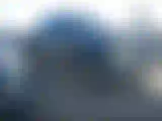 Vehicle Image- 2017 Ford F-250