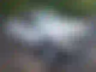 Vehicle Image- 2019 Ford F-250