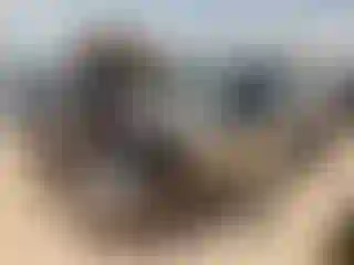 Vehicle Image- 2019 Ford F-250