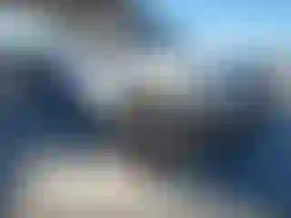 Vehicle Image- 2015 Ford F-250