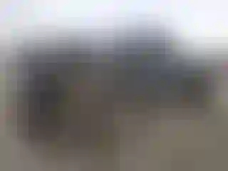 Vehicle Image- 2017 Ford F-250