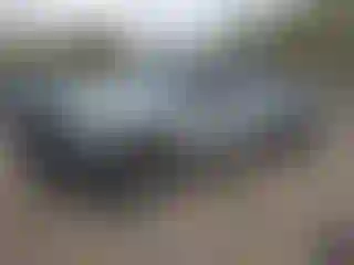 Vehicle Image- 2019 Ford F-250