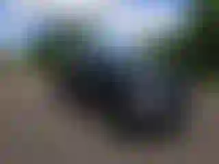 Vehicle Image- 2019 Ford F-250