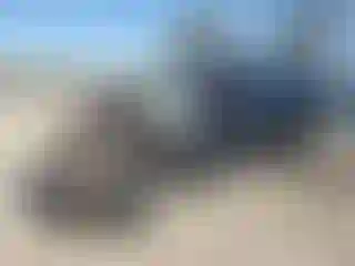 Vehicle Image- 2019 Ford F-250