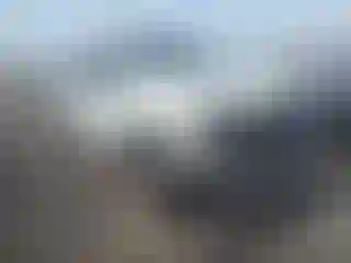 Vehicle Image- 2020 Ford F-250