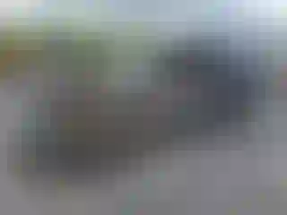 Vehicle Image- 2017 Ford F-250
