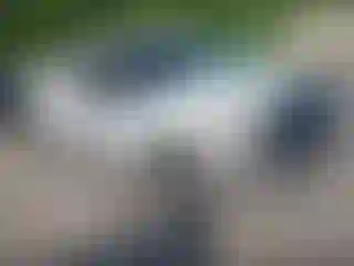 Vehicle Image- 2013 Ford F-250