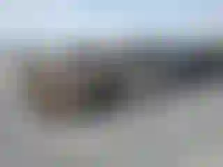 Vehicle Image- 2019 Ford F-250