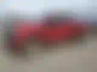 Vehicle Image- 2023 Ford F-250