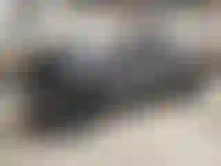 Vehicle Image- 2024 Ford F-250
