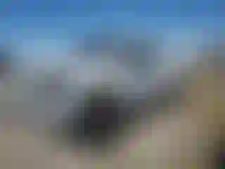 Vehicle Image- 2020 Ford F-250