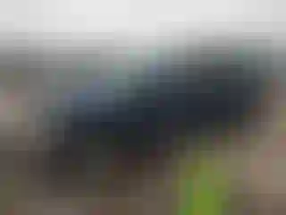 Vehicle Image- 2017 Ford F-350