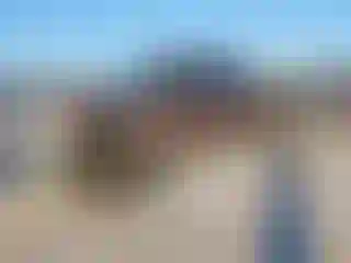 Vehicle Image- 2012 Ford F-350