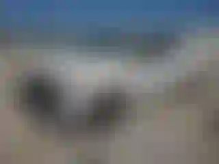 Vehicle Image- 2019 Ford F-350