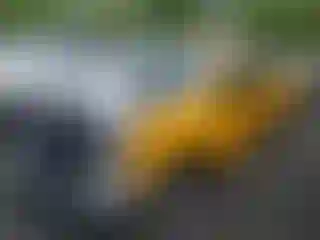 Vehicle Image- 2020 Ford F-250