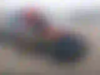 Vehicle Image- 2021 Ford Transit