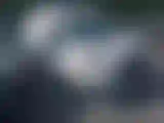 Vehicle Image- 2020 Ford Transit