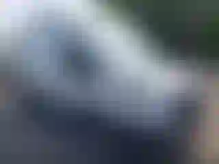 Vehicle Image- 2023 Ford Transit