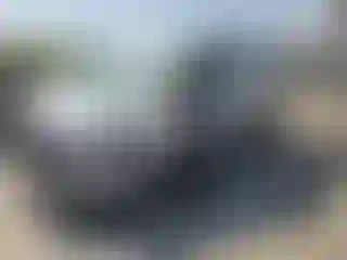 Vehicle Image- 2023 Ford Transit