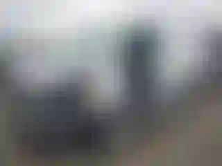 Vehicle Image- 2024 Ford Transit