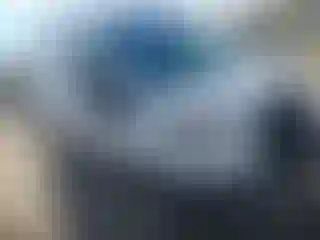 Vehicle Image- 2024 Ford Transit