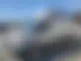 Vehicle Image- 2019 Ford Transit