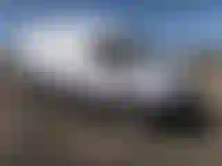 Vehicle Image- 2023 Ford Transit