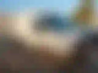 Vehicle Image- 2020 Ford Transit