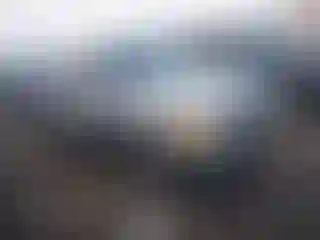 Vehicle Image- 1996 Ford Ranger