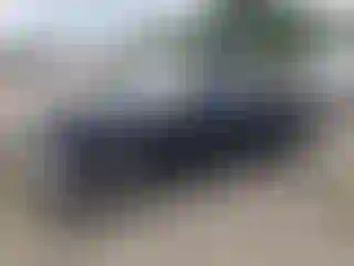 Vehicle Image- 1994 Ford Ranger
