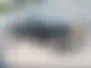 Vehicle Image- 1997 Ford Ranger