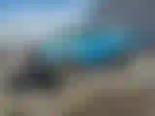Vehicle Image- 1994 Ford Ranger
