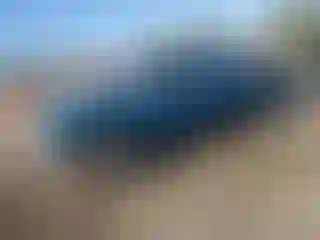 Vehicle Image- 1995 Ford Ranger