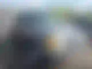 Vehicle Image- 1997 Ford Ranger