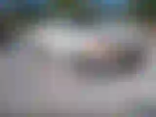 Vehicle Image- 1991 Ford F-150