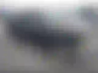 Vehicle Image- 1988 Ford F-150