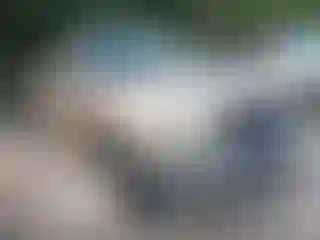 Vehicle Image- 1997 Ford F-150