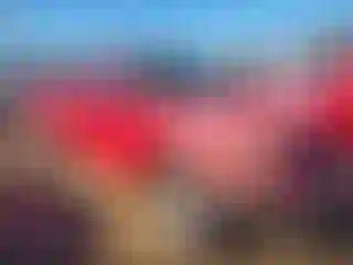 Vehicle Image- 1997 Ford F-150