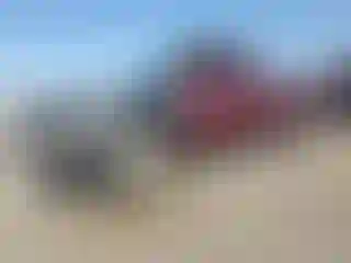 Vehicle Image- 1997 Ford F-150