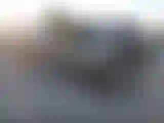 Vehicle Image- 1992 Ford F-150