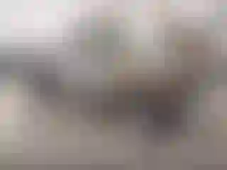 Vehicle Image- 1983 Ford F-150