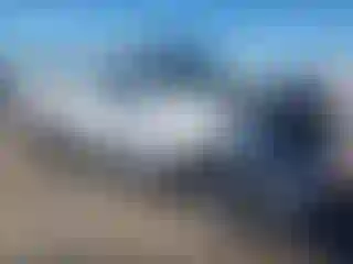 Vehicle Image- 1995 Ford F-150