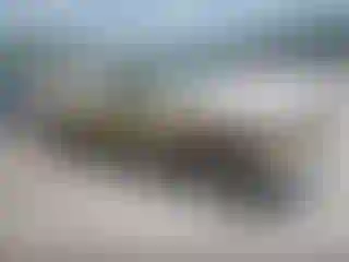Vehicle Image- 1995 Ford F-150