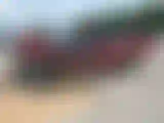 Vehicle Image- 1996 Ford F-150